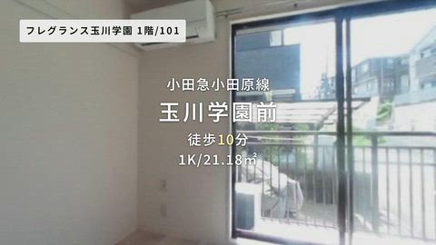 紹介ムービー