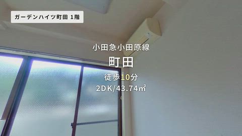 動画