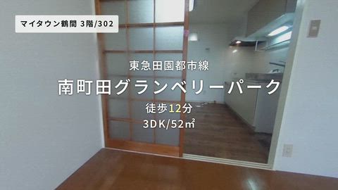 動画
