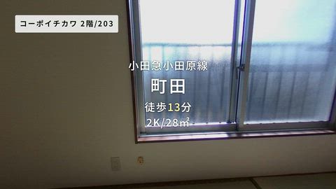 動画