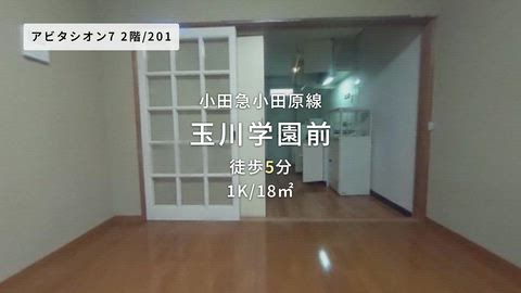 動画