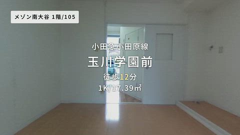 動画