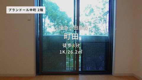 動画
