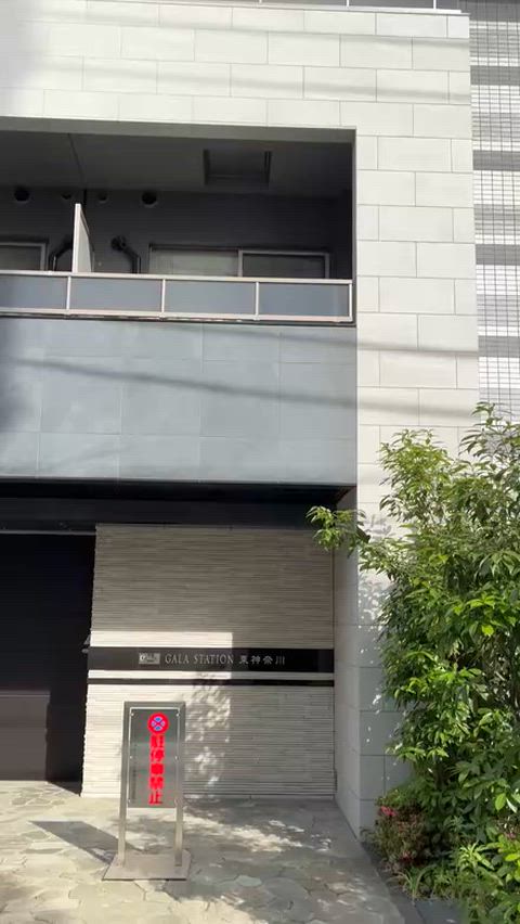 紹介ムービー