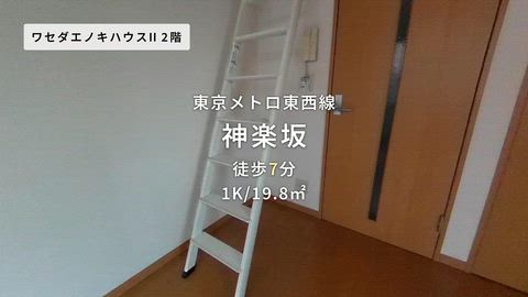 動画