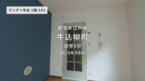 動画