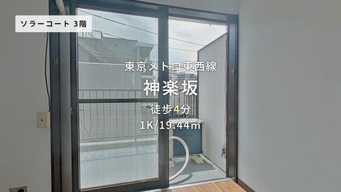 動画
