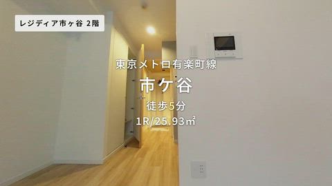 動画