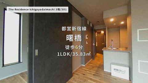 動画