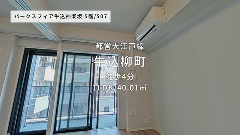 動画
