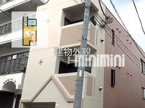 動画