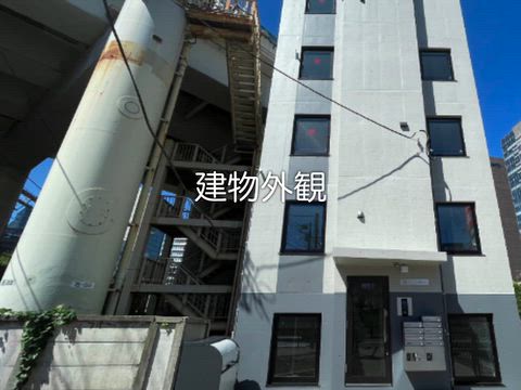動画