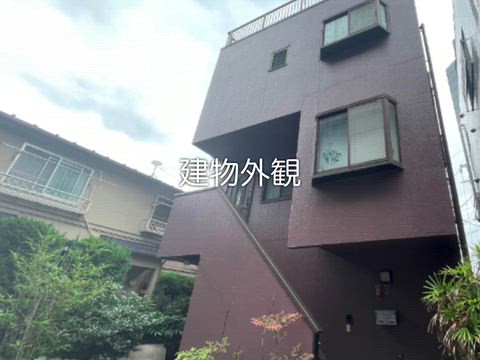 動画