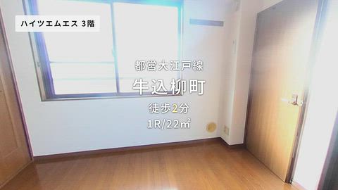 動画