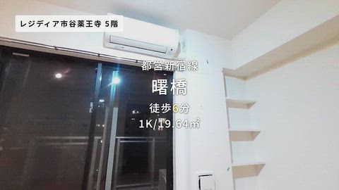 動画