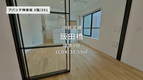 動画