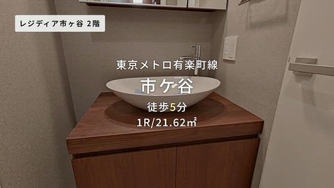 動画