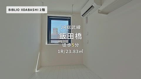 動画