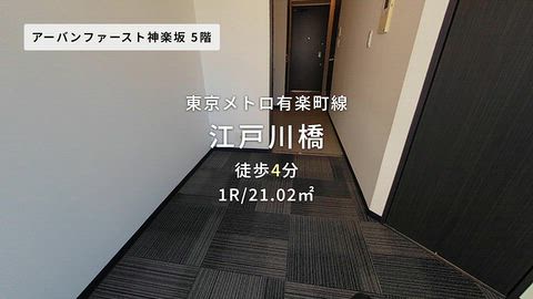 動画