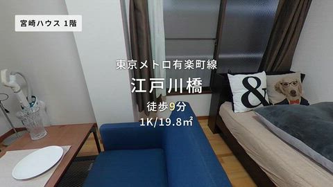 動画
