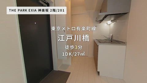 動画