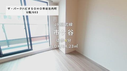 動画