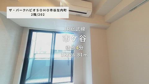 動画
