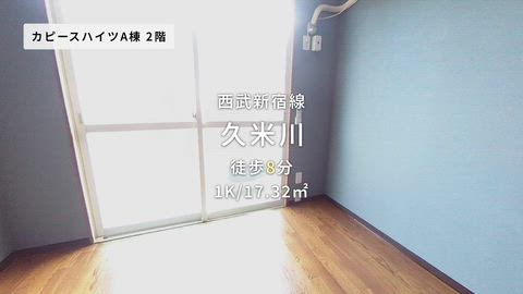動画