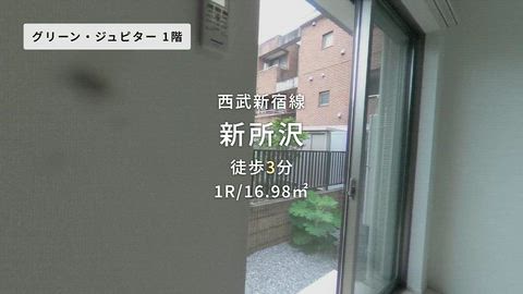 動画