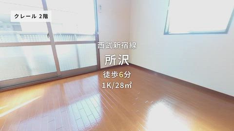 動画