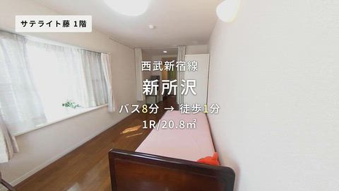 動画
