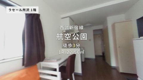 動画