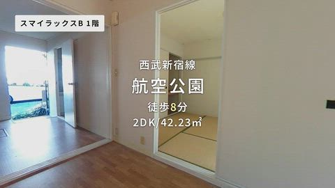 動画