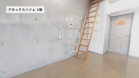 動画