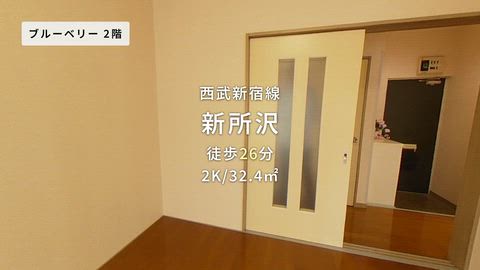 動画