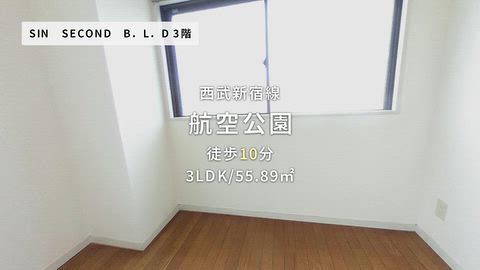 動画