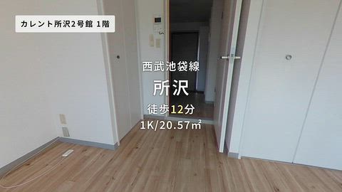 動画