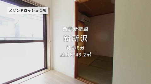 動画