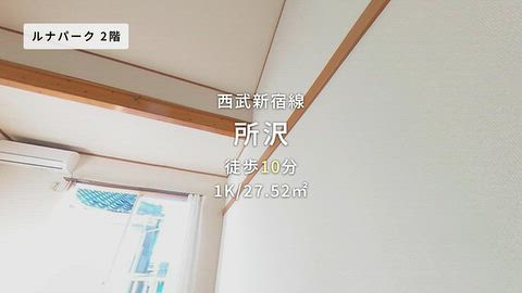 動画