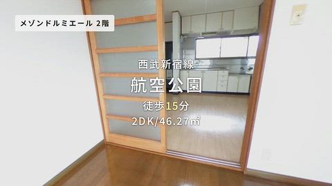 動画