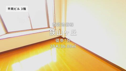 動画
