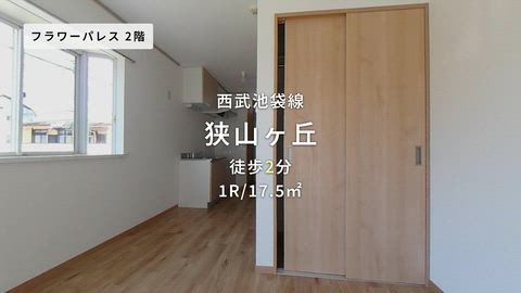 動画