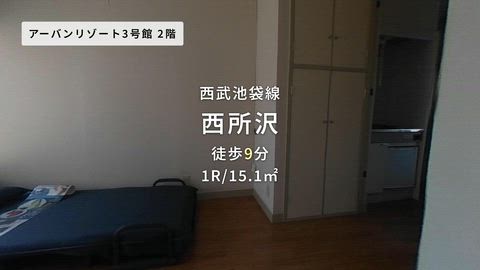 動画