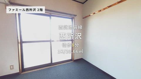 動画