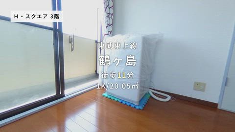 動画
