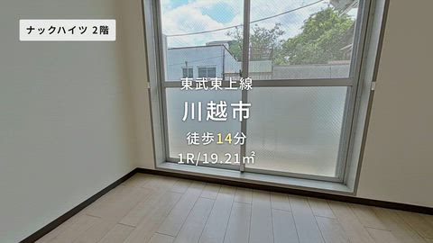 動画