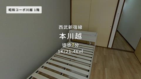 動画