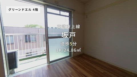 動画