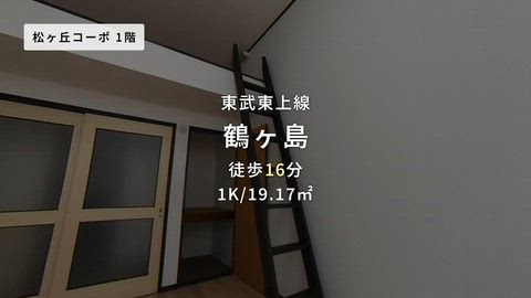 動画