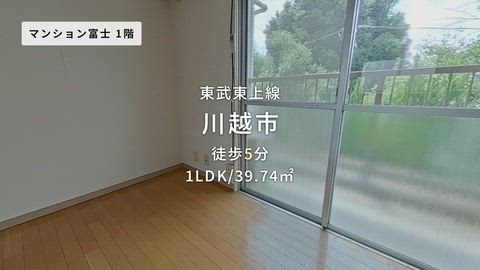 動画